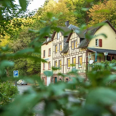Boutique-hotel Jungenwald 3*